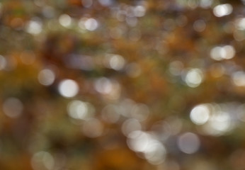 Autumnal natural bokeh  for background . bokeh-orange , brown, white soft color tone blurred.  
