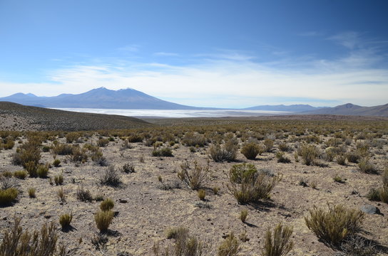 Wide panorama of Altiplano Bolivia