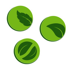 Vector natural symbols with leaf