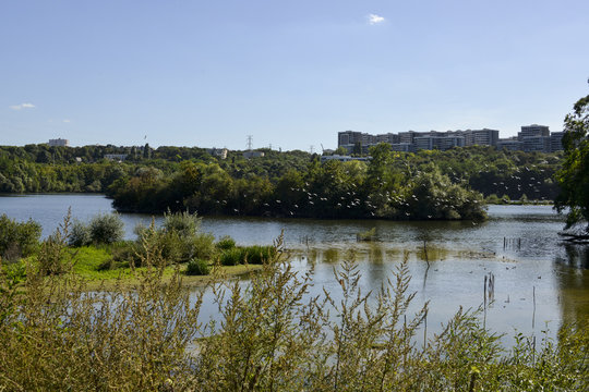 Le lac de Viry Ch&acirc;tillon, Communaut&eacute; d'agglom&eacute;ration,  Les Lacs de l'Essonne, Essonne, 91