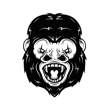 Angry gorilla head vector illustration. Isolated on white background