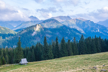 Rusinowa Polana in Tatra Mountain, Poland