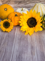 Herbstlicher Hintergrund aus Holz mit Blüten und Kürbissen am oberen Rand