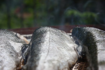 Forelle vom Grill