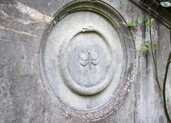 Motte und Schlange auf altem Grabstein