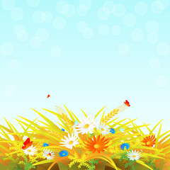 Naklejka na ściany i meble Summer banner design with wheat field, wild flowers and butterflies. Vector illustration