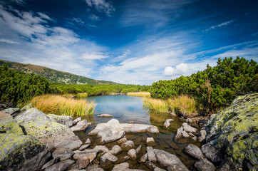 Glacier lake in mountains surrounded by junipers. Carpathians mountains, Romania. 