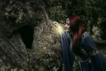 princesa medieval que observa el tronco del árbol del bosque