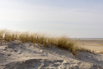 Sanddüne am Strand