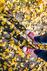 Fototapeta premium Legs of unrecognizable person in winter boots. Colorful autumn l