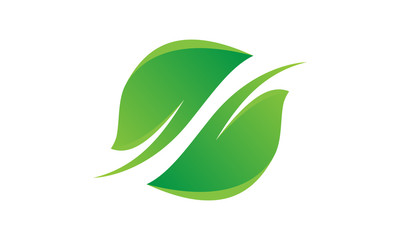 green leaf logo
