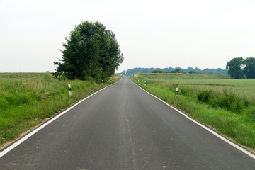 Road / Road with Road delineator posts