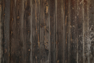 Fototapeta premium Wood texture