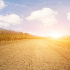 Fototapeta premium empty farm with yellow land