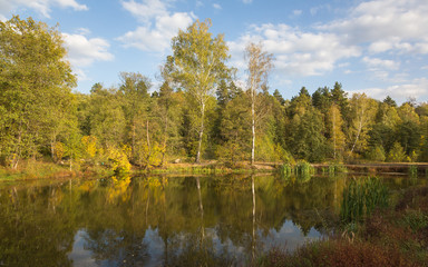 Fototapeta na wymiar Golden autumn in Central Russia. September evening in tourist camp.
