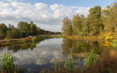 Golden autumn in Central Russia. September evening in tourist camp.