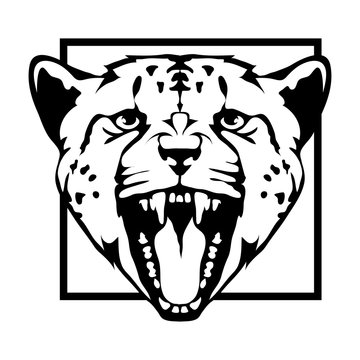 cheetah logo