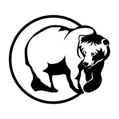 bear logo