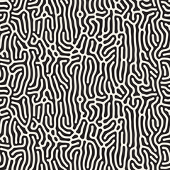 Vector Seamless Black and White Organic Lines Pattern