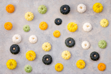 Beautiful top view of several colorful pumpkins on the grey .concrete background with copy space.