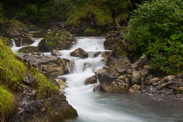 fast forest river - endless stream