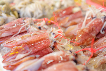 Seafood. Close up of fresh raw octopuses on the market.