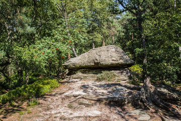 Felsen auf dem Pfaffenstein, Sächsische Schweiz