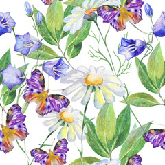Fototapety  wild flowers, daisy, and butterfly. watercolor