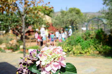 Kids on picnic outdoors in the village yard