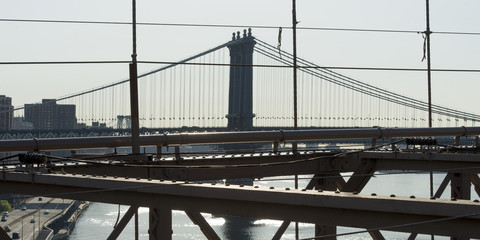 Naklejka premium nyc14357