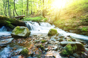 Mountain stream waterfall in the green forest