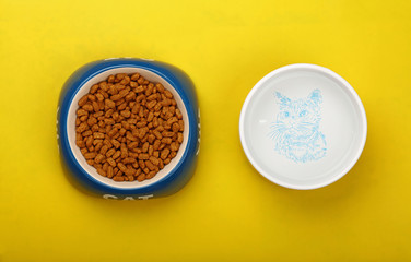 Dry cat food and water in bowl on yellow floor