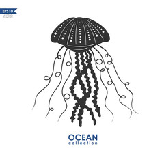 Obraz premium oceanic jelly fish isolated on white