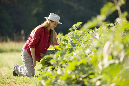 Mid-adult woman wearing a hat while picking vegetables in a field.