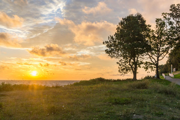 Fototapeta na wymiar Baum an einer Klippe im Sonnenaufgang 