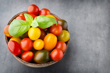 Tomatoes on the gray background. Colorful tomatoes, red tomatoes