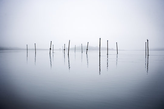 View of few posts in the water.