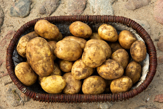 A basket full of potatoes on the stones