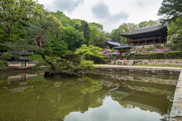 Fototapeta na wymiar Buyongji Pond and Juhamnu Pavilion at Huwon (Secret Garden) at the Changdeokgung Palace in Seoul, South Korea.