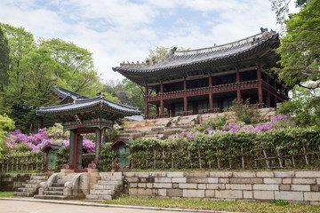 View of Juhamnu Pavilion at Huwon (Secret Garden) at the Changdeokgung Palace in Seoul, South Korea.