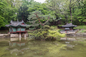 Two small buildings (Buyongjeong and Sajeonggibigak) beside the Buyongji Pond at Huwon (Secret Garden) at the Changdeokgung Palace in Seoul, South Korea.