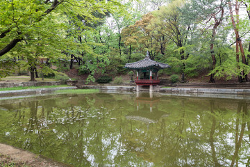 Fototapeta na wymiar Aeryeonji Pond at Huwon (Secret Garden) at the Changdeokgung Palace in Seoul, South Korea.
