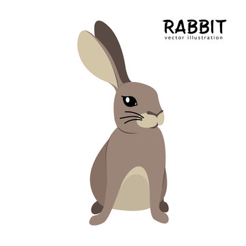 Rabbit isolated hand drawing vector illustration, vintage animal set