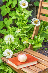 Apple and book on a chair in the garden