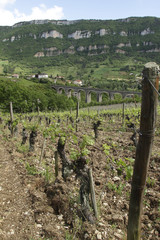 Aveyron