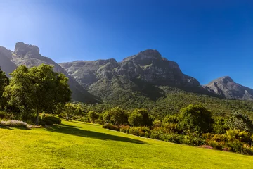 Foto op Plexiglas South Africa. Cape Town. Kirstenbosch National Botanical Garden. Panoramic view Table Mountain slopes from Castle Rock (peak in the left) to Devil's Peak © WitR