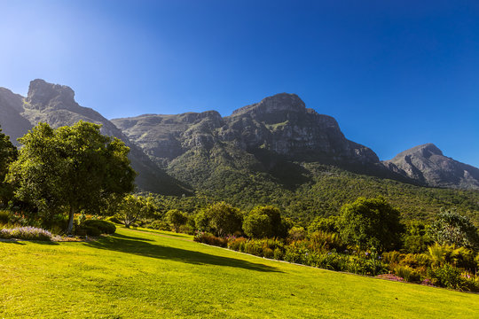 South Africa. Cape Town. Kirstenbosch National Botanical Garden. Panoramic view Table Mountain slopes from Castle Rock (peak in the left) to Devil's Peak