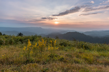 Sonnenuntergang im Schwarzwald