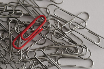 Steel paper clips with a single red paperclip