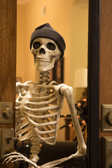 Halloween Skeleton Greeting at the Door